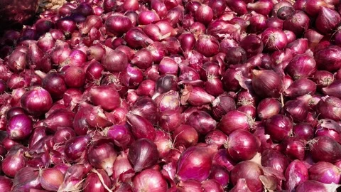 A person is separating fresh onions Stock Footage 304064956