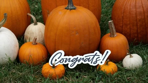 Person sets down the word Congrats on Pumpkins at a Pumpkin Patch in the Fall Video stock 323180883