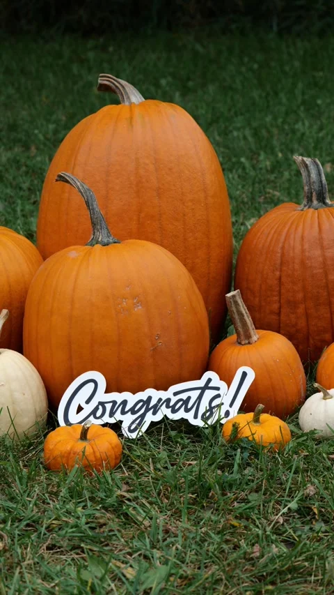 Person sets down the word Congrats on Pumpkins at a Pumpkin Patch in the Fall Stock Footage 323181033