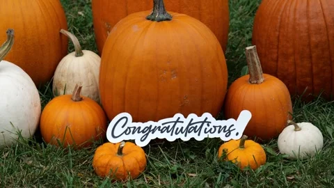 Person sets down the word Congratulations on Pumpkins at a Pumpkin Patch in the Stock Footage 323180968