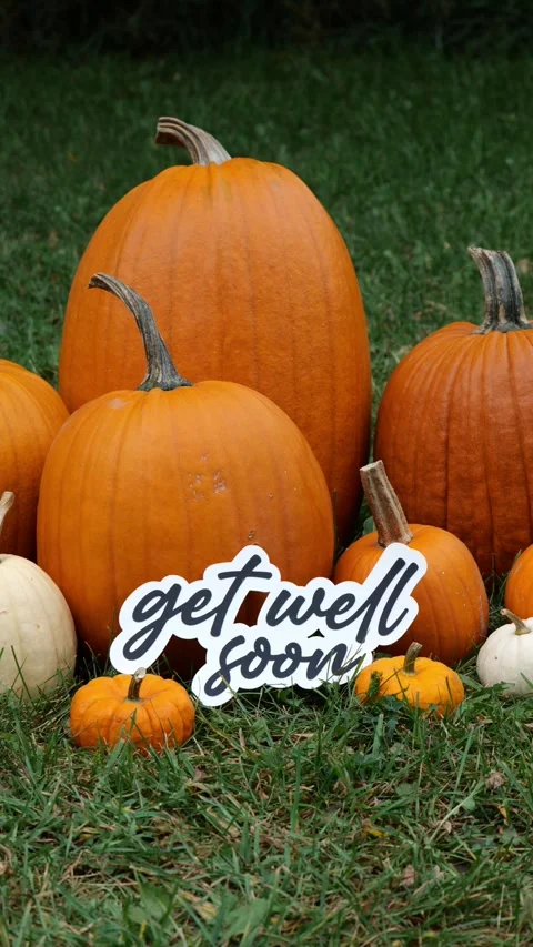 Person sets down the words Get Well Soon on Pumpkins at a Pumpkin Patch in the Stock Footage 323180785