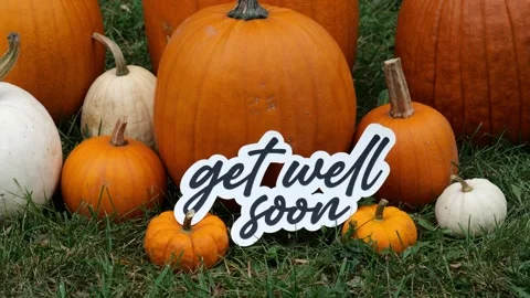 Person sets down the words Get Well Soon on Pumpkins at a Pumpkin Patch in the 스톡 동영상 323181058