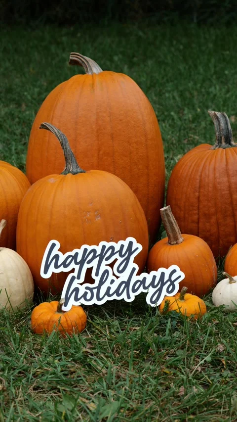 Person sets down the words Happy Holidays on Pumpkins at a Pumpkin Patch in the 스톡 동영상 323180772