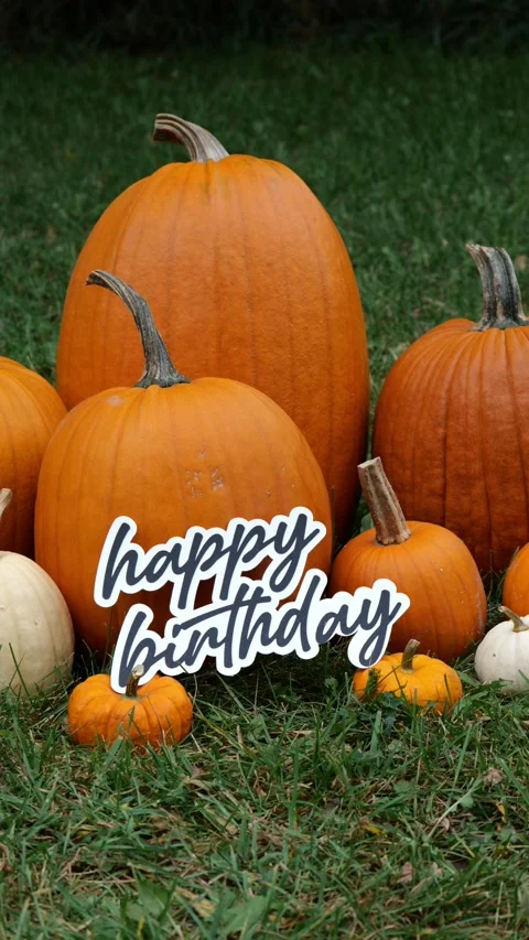 Person sets down the words Happy Birthday on Pumpkins at a Pumpkin Patch in the 스톡 동영상 323180867
