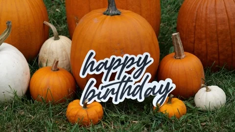 Person sets down the words Happy Birthday on Pumpkins at a Pumpkin Patch in the 스톡 동영상 323180876