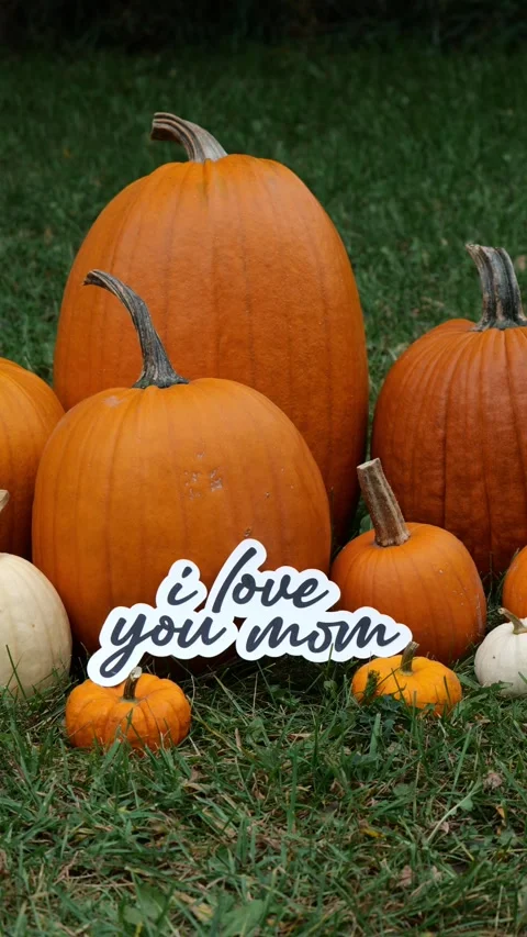 Person sets down the words I Love You Mom on Pumpkins at a Pumpkin Patch in the 스톡 동영상 323180842