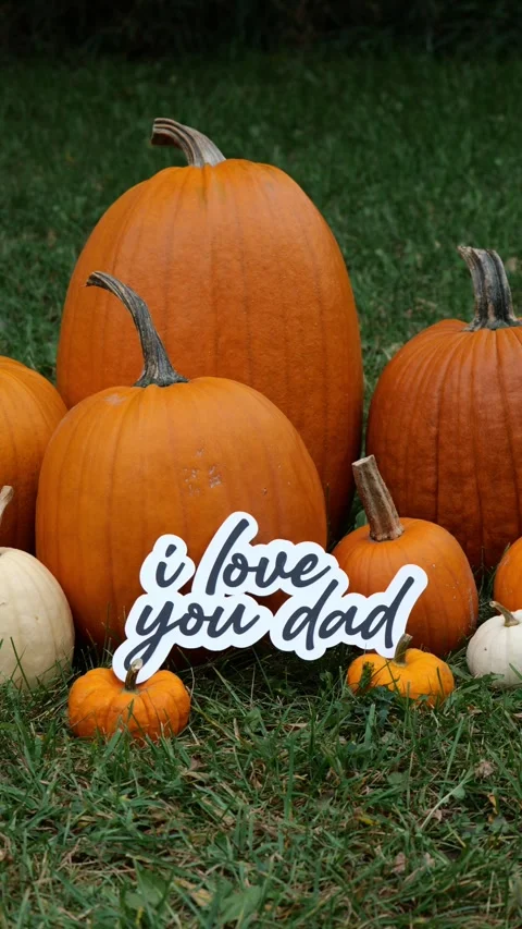 Person sets down the words I Love You Dad on Pumpkins at a Pumpkin Patch in the Vídeos de archivo 323180976