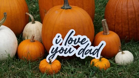 Person sets down the words I Love You Dad on Pumpkins at a Pumpkin Patch in the Stock Footage 323181098