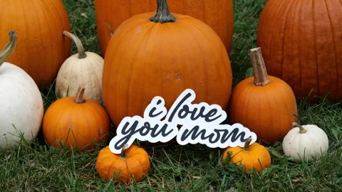 Person sets down the words I Love You Mom on Pumpkins at a Pumpkin Patch in the 스톡 동영상 323181109