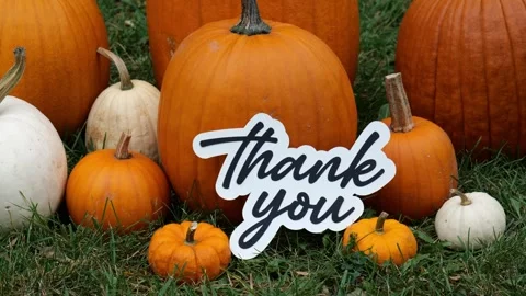 Person sets down the words Thank You on Pumpkins at a Pumpkin Patch in the Fall Video stock 323180823