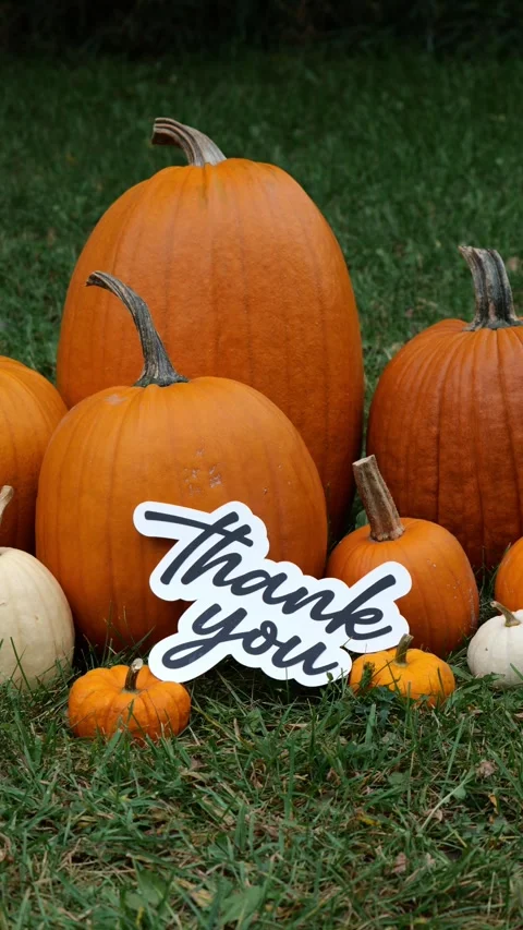 Person sets down the words Thank You on Pumpkins at a Pumpkin Patch in the Fall Video stock 323180935