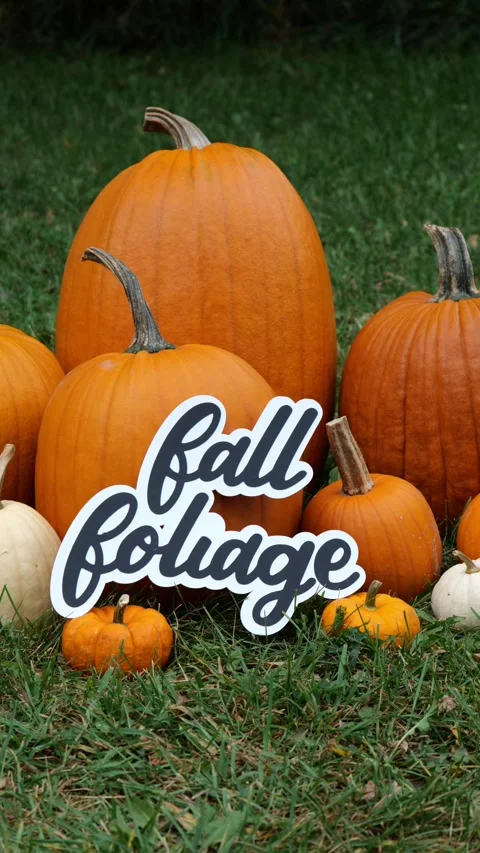 Person sets the wording Fall Foliage on a Pile of Pumpkins at a Pumpkin Patch Video stock 320767096