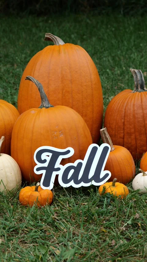 Person sets the wording Fall on a Pile of Pumpkins at a Pumpkin Patch Vertical Video stock 320705533