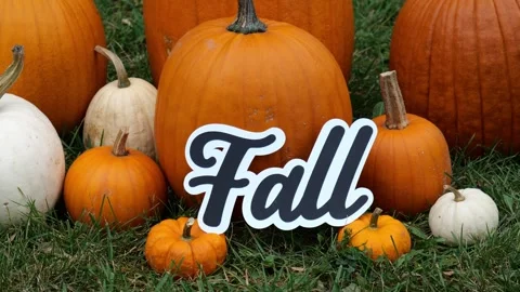 Person sets the wording Fall on a Pile of Pumpkins at a Pumpkin Patch 4K Video stock 320767198