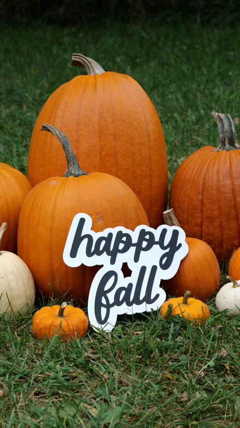 Person sets the wording Happy Fall on a Pile of Pumpkins at a Pumpkin Patch Stock Footage 321721084
