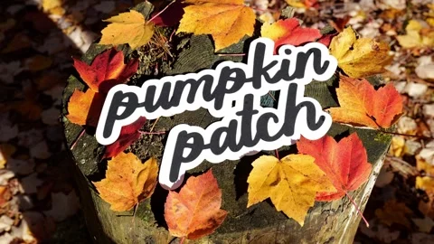 Person sets the words Pumpkin Patch on a Tree Stump with Colorful Yellow 스톡 동영상 321946828