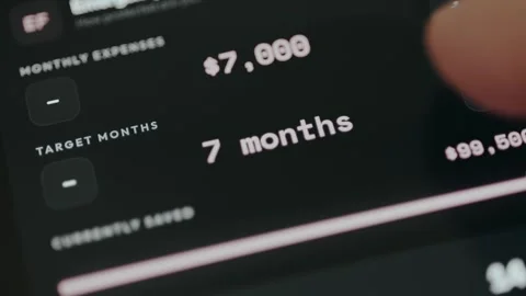 Person setting the Target Months within a Calculator for Emergency Fund Stock Footage 332485655