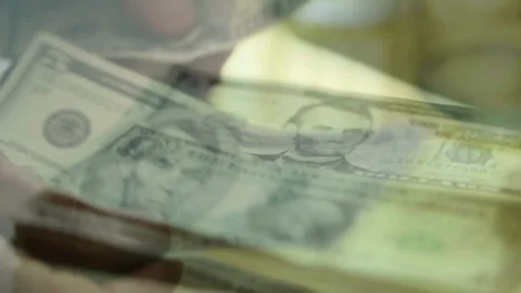 Person sitting at the table, counts earned money, fixing profits. Save up budget Stock-Footage 336261289