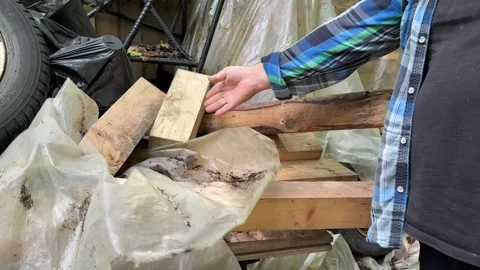 Person Sorting Firewood for Outdoor Fire Pit in Backyard Stock-Footage 342630008