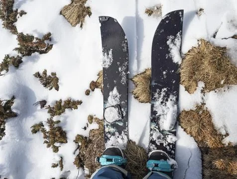 Person on splitboard on snow Foto stock