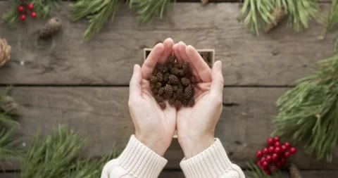 Person Sprinkling Tiny Pine Cones into a Christmas Gift Box on Wooden Table Stock Footage 321638113