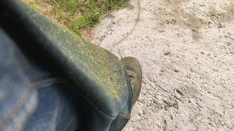 Person standing on dirt path with grass clippings on shoes and pants while doing Stock Footage 336685148