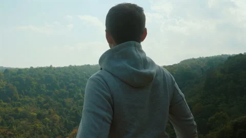 Person standing on edge of forest, looking out at lush green scenery, Stock Footage 286248337