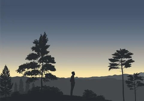Person standing in the forest at sunset vector Illustrazione stock