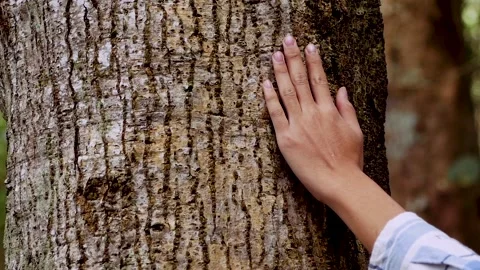 A person standing next to a tree 스톡 동영상 156846136