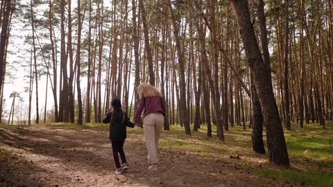 A person standing next to a tree in a forest Stock Footage 129795278