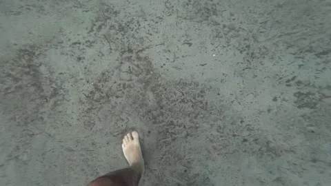 Person standing on a sandy seabed, looking down. A stingray is visible, 库存影片 339810224