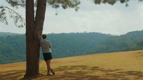 Person Standing by Tree Overlooking Scenic Mountain Landscape, Serene Stock Footage 282045352