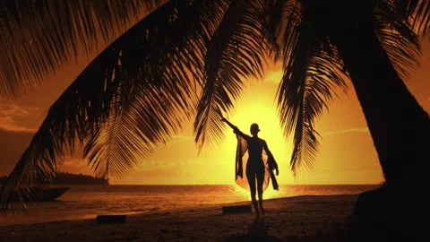 Person standing under palm tree on beach Stock Footage 271668561