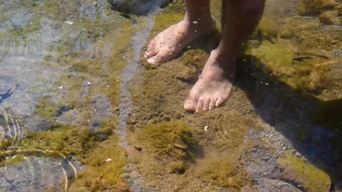 Person standing in the water of river background Stock Footage 151874433