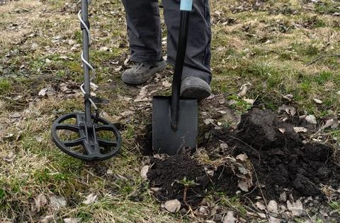 A person stands in a grassy area using a metal detector to locate objects u.. Stock Photos