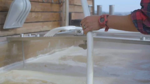 Person stirring grains in a container Stock Footage 87801704