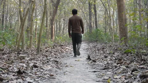 Person Strolling Autumn Forest Path Stock-Footage 333262205