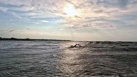 A person is struggling while swimming back to the shore in a calm ocean Stock Footage 336872732