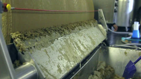 Person switched on desticker for grape pulp Stock Footage 24690987