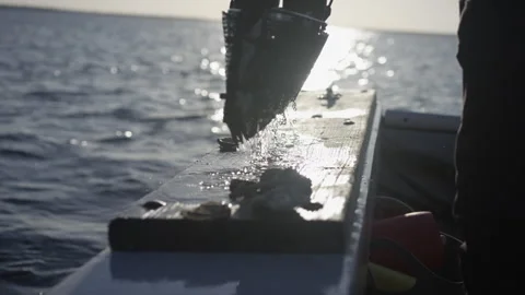 Person taking garbage out of the sea in Long Beach Stock Footage 311112413