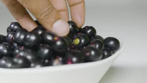 A person taking Java plum fruits from the bowl pull back 4k short Video stock 252207003