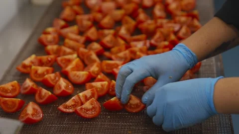 A person is touching a tray of tomatoes Stock Footage 297843941