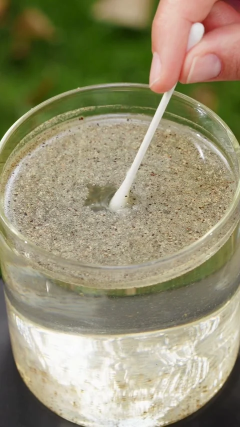 Person touching water surface with cotton swab science experiment Video stock 331770098