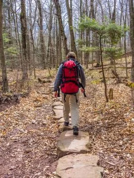 Person on the trail Stock Photos