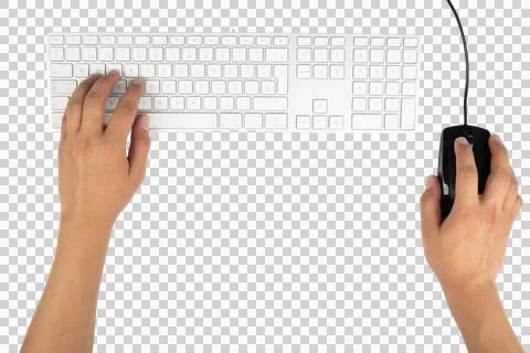 Person typing on keyboard and using mouse Stock Photos