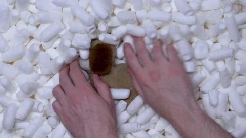 The person unpacks and pulls old toy out of the soft-filled box Stock Footage 197572901