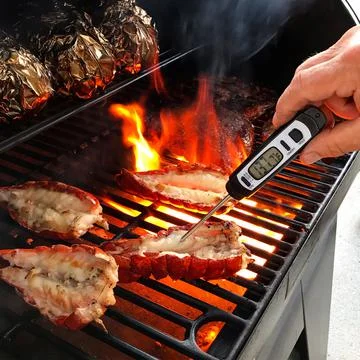 A Person Uses a Thermometer on Barbecued Lobster Tail Stock Photos