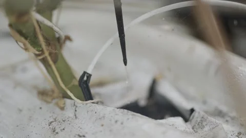 A person is using a black and white tool to prune a plant Stock Footage 297841124
