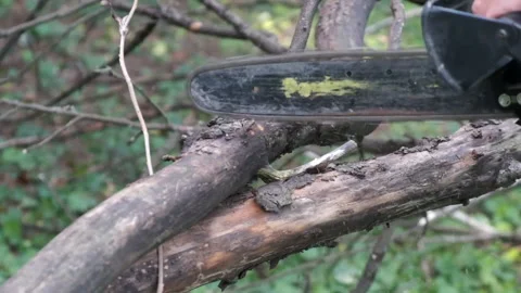 Person using chainsaw to cut through tree branch. Day time chainsaw Video stock 166816780
