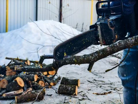 Person using a chainsaw to cut a tree branch for firewood, with a pile of cut Фото